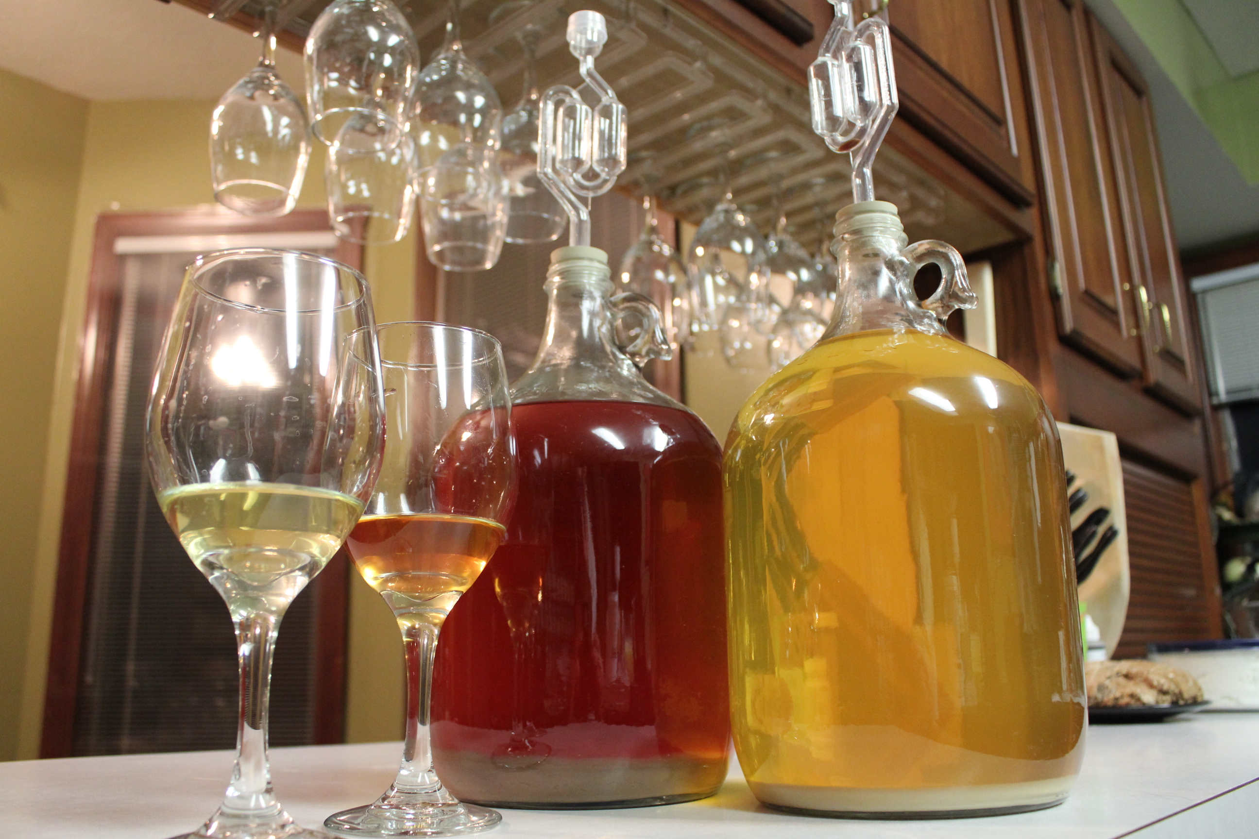 Ферментация вина. Домашнее вино. Домашняя винодельня. Домашнее виноградное вино.